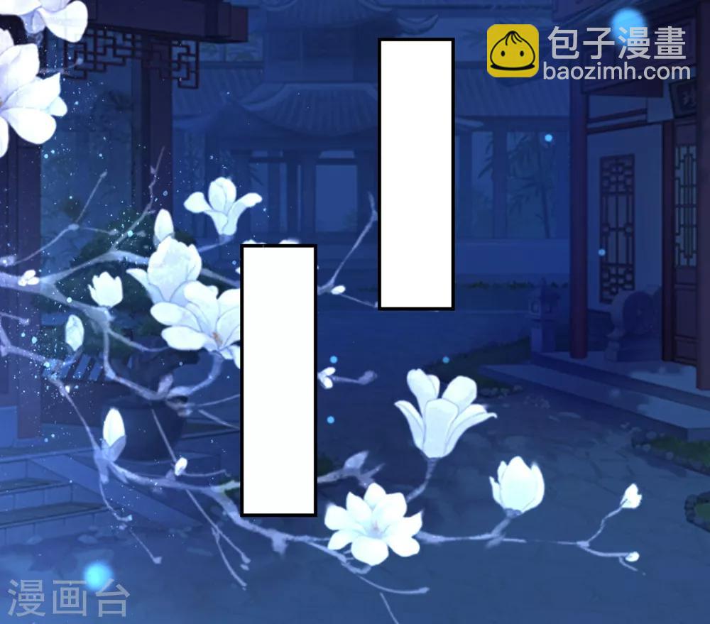 壞心王爺別惹我 - 第118話 刺殺計劃 - 6