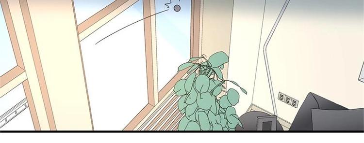 第15话(1/2)-第15话