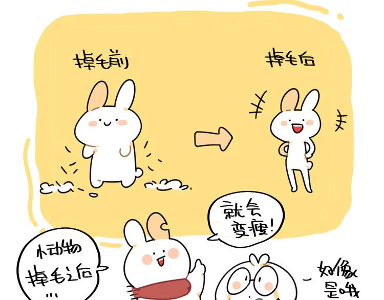 第83话：谁可以带走我的肥肉-第83话