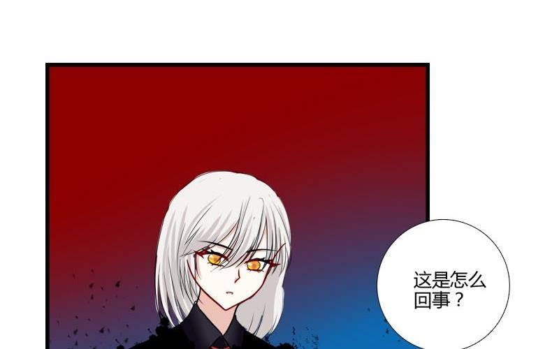 第17话 圣光，分身消失-第15话