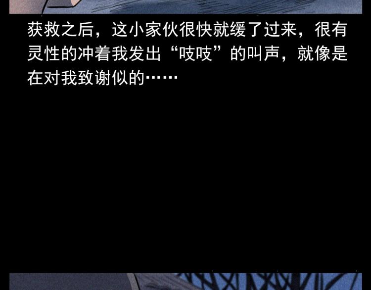 槍爺異聞錄 - 第307話 鼠恩(3/3) - 2