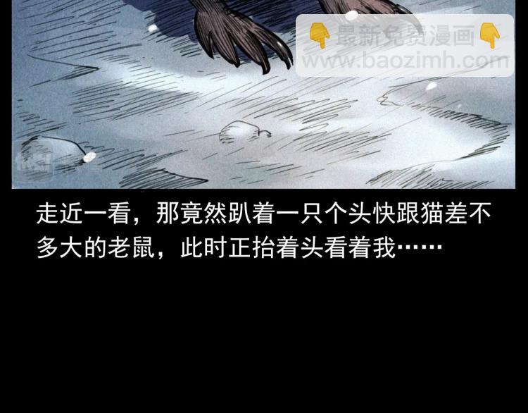 槍爺異聞錄 - 第307話 鼠恩(1/3) - 1