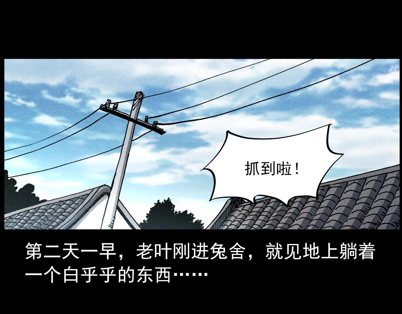 槍爺異聞錄 - 第421話 白狐(1/3) - 8