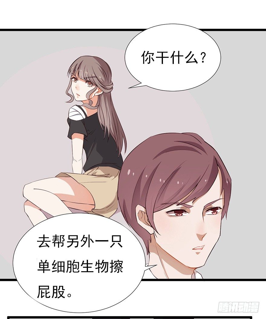 002单细胞动物的春天(1/2)-第3话