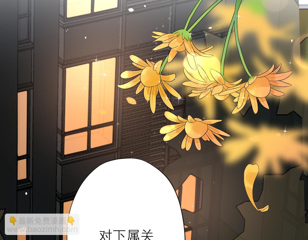 第30话 确定心意(1/4)-第11话