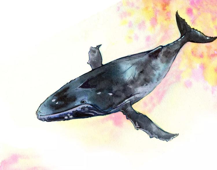 第17话(1/2)-第17话