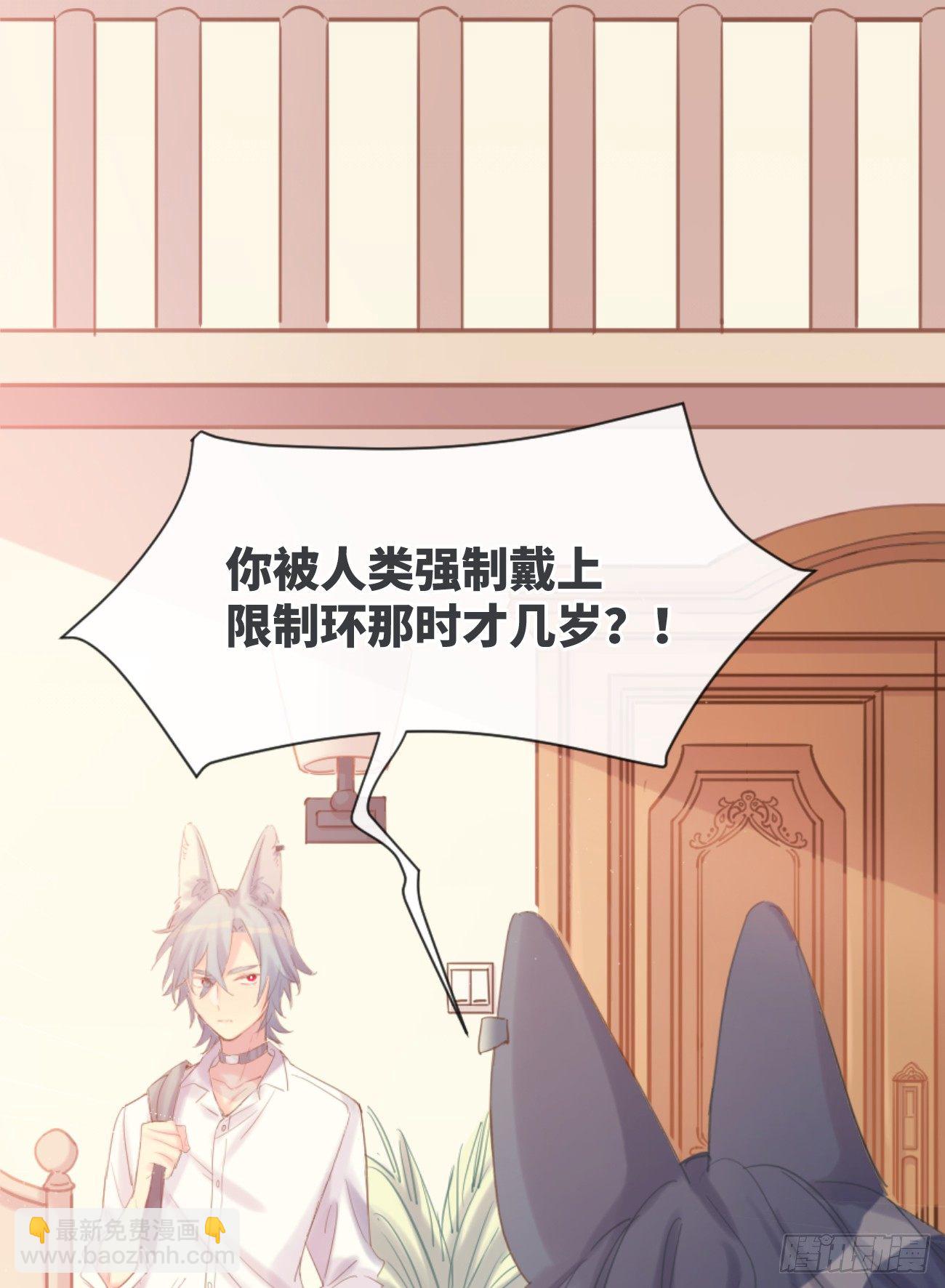 ◆02下◆ 喜欢！(1/2)-第5话