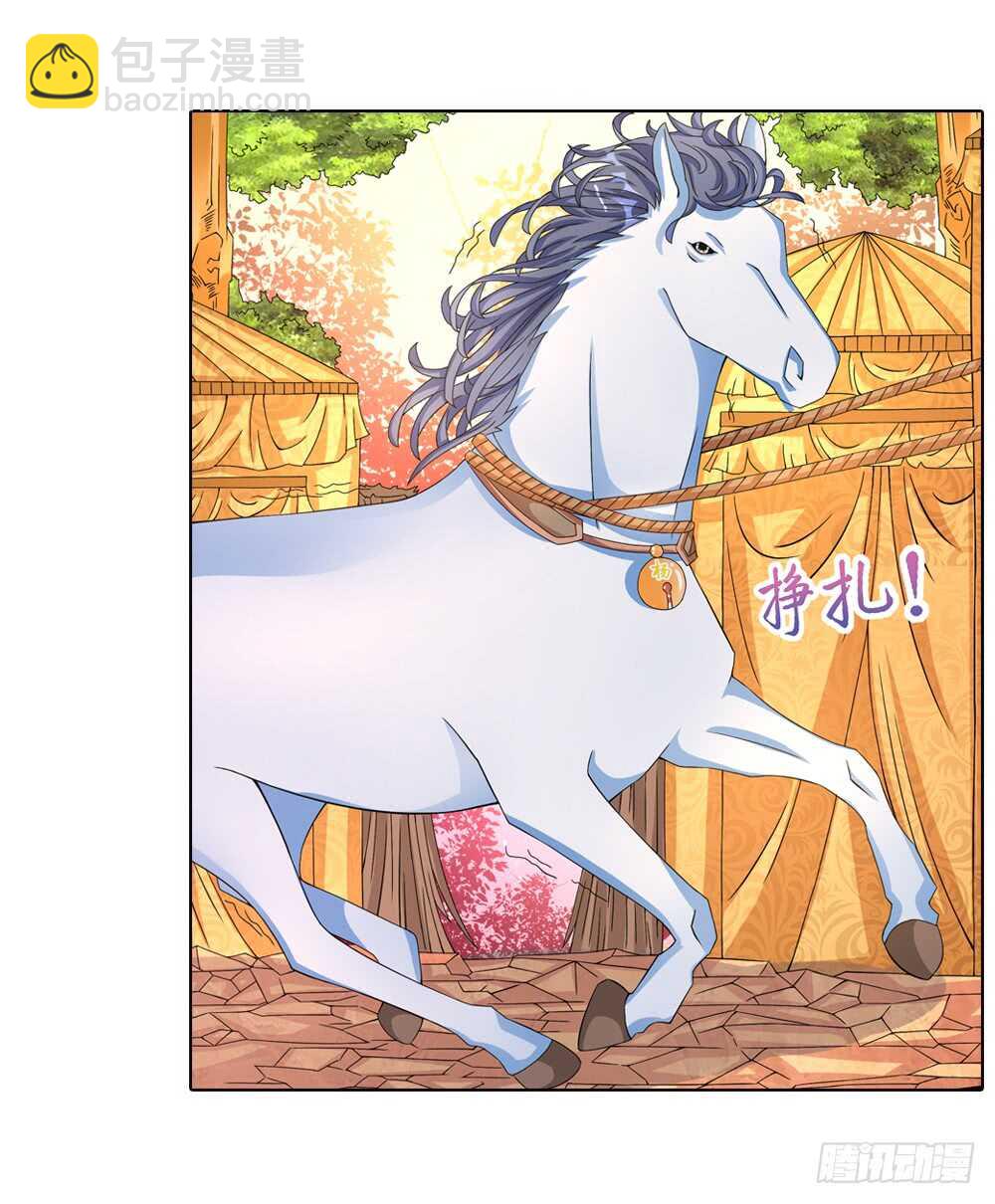 41 开始行动（中）-第41话