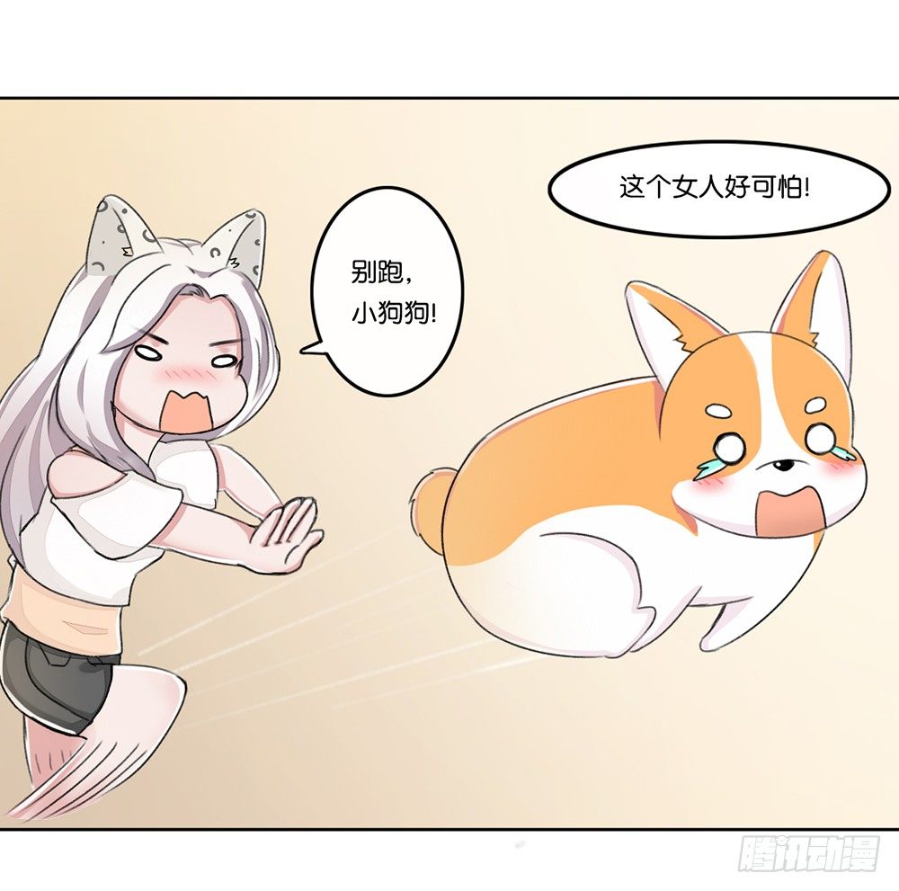 新客人（中）-第13话