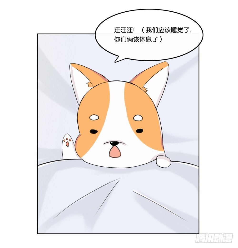 婚礼前夕（上）-第19话