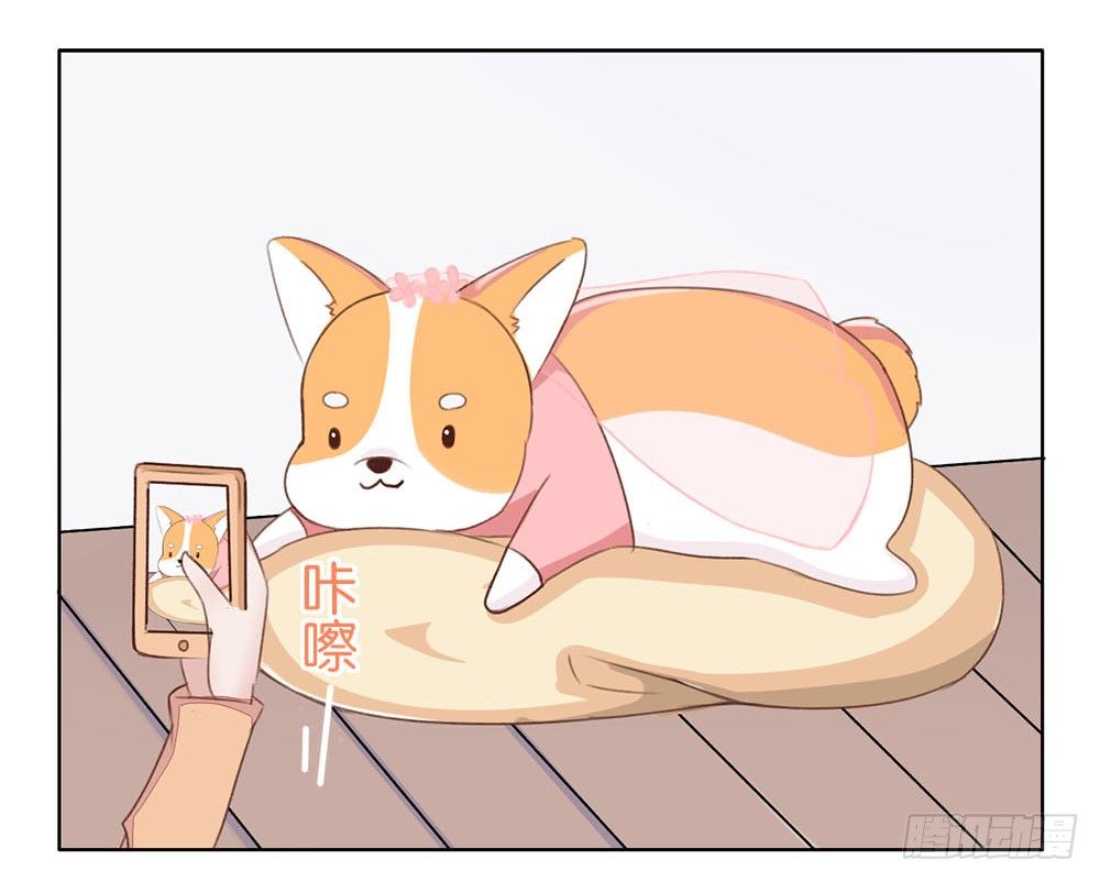 婚礼进行曲（一）-第21话