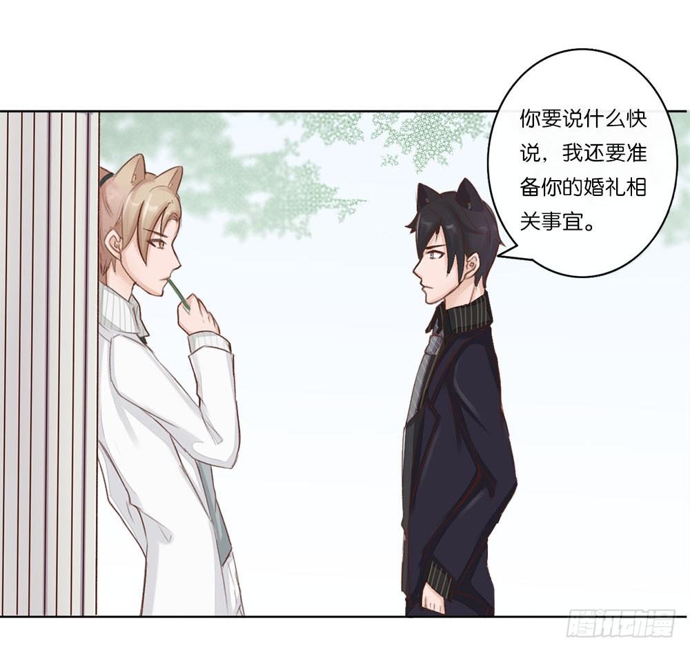 婚礼进行曲（一）-第21话