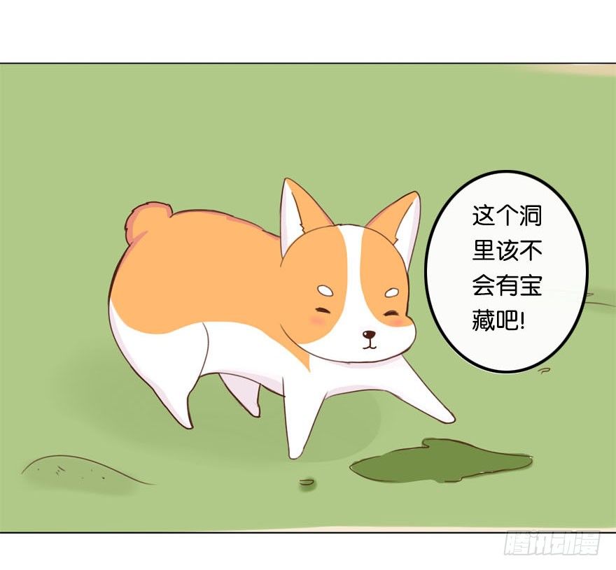 新邻居（中）-第27话