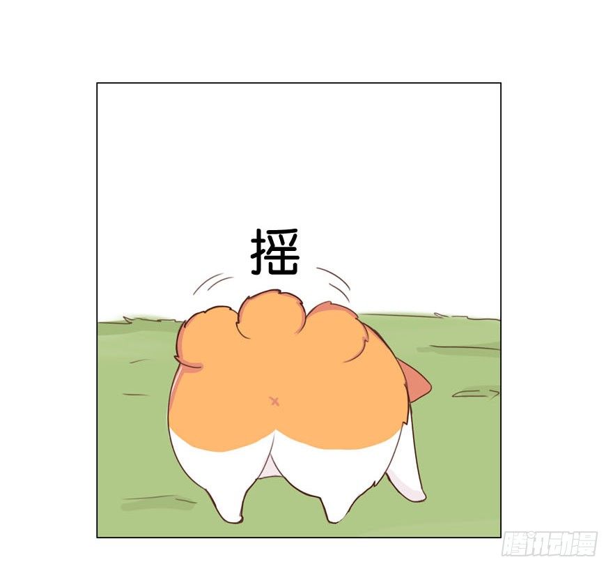 新邻居（中）-第27话