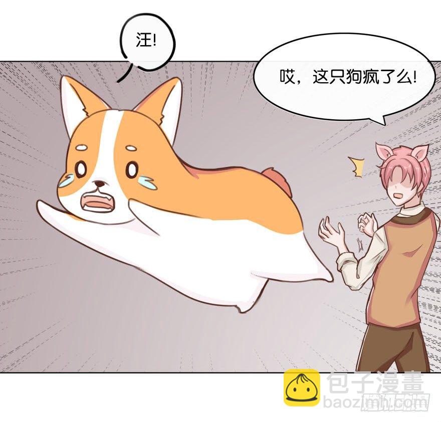 新邻居（中）-第27话