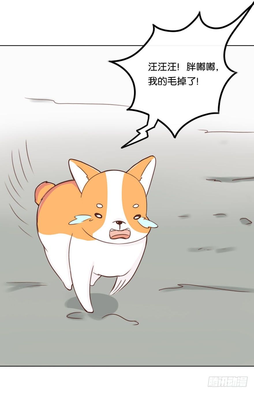 新邻居（中）-第27话