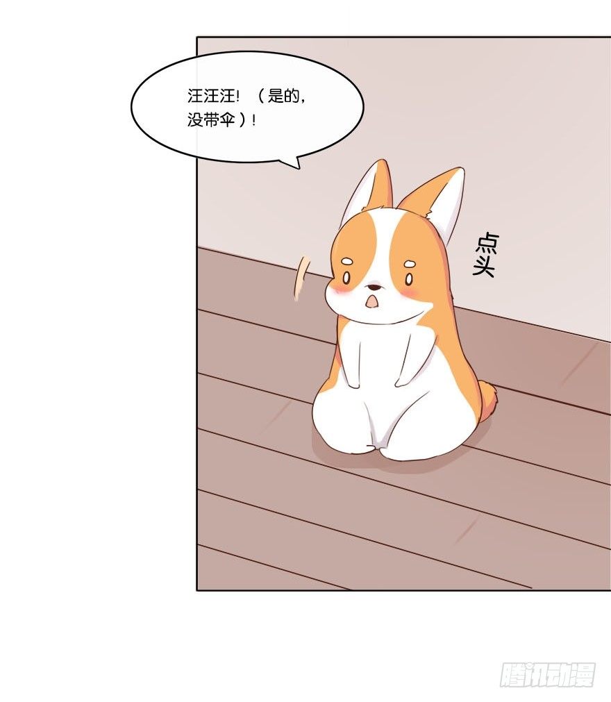 我的告白（一）-第29话