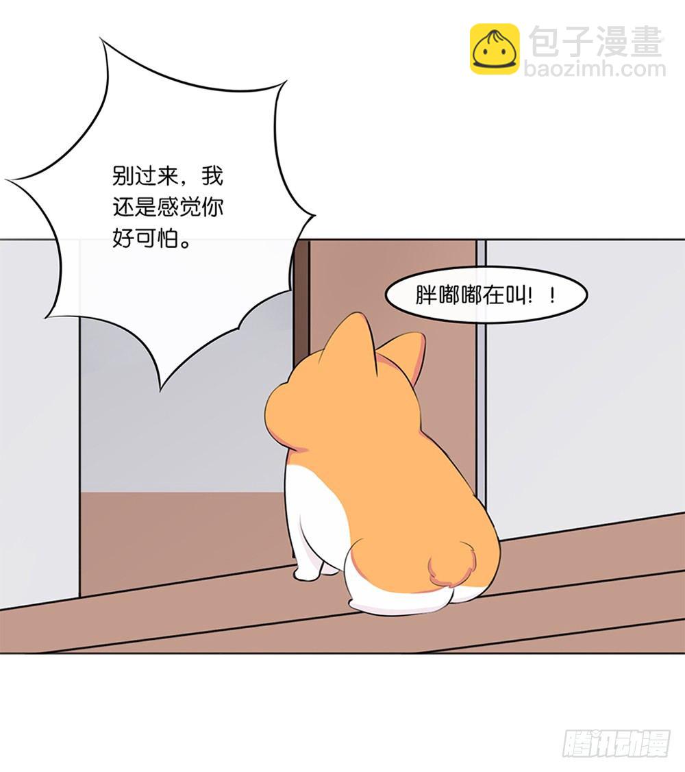 懒散的夏日（下）-第5话