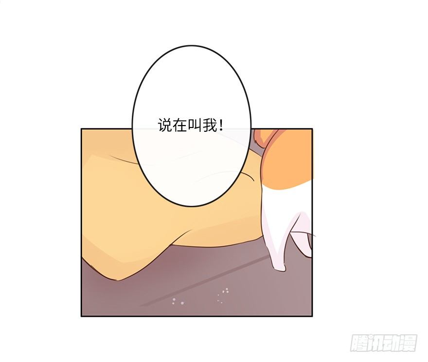 相濡以沫（四）-第41话