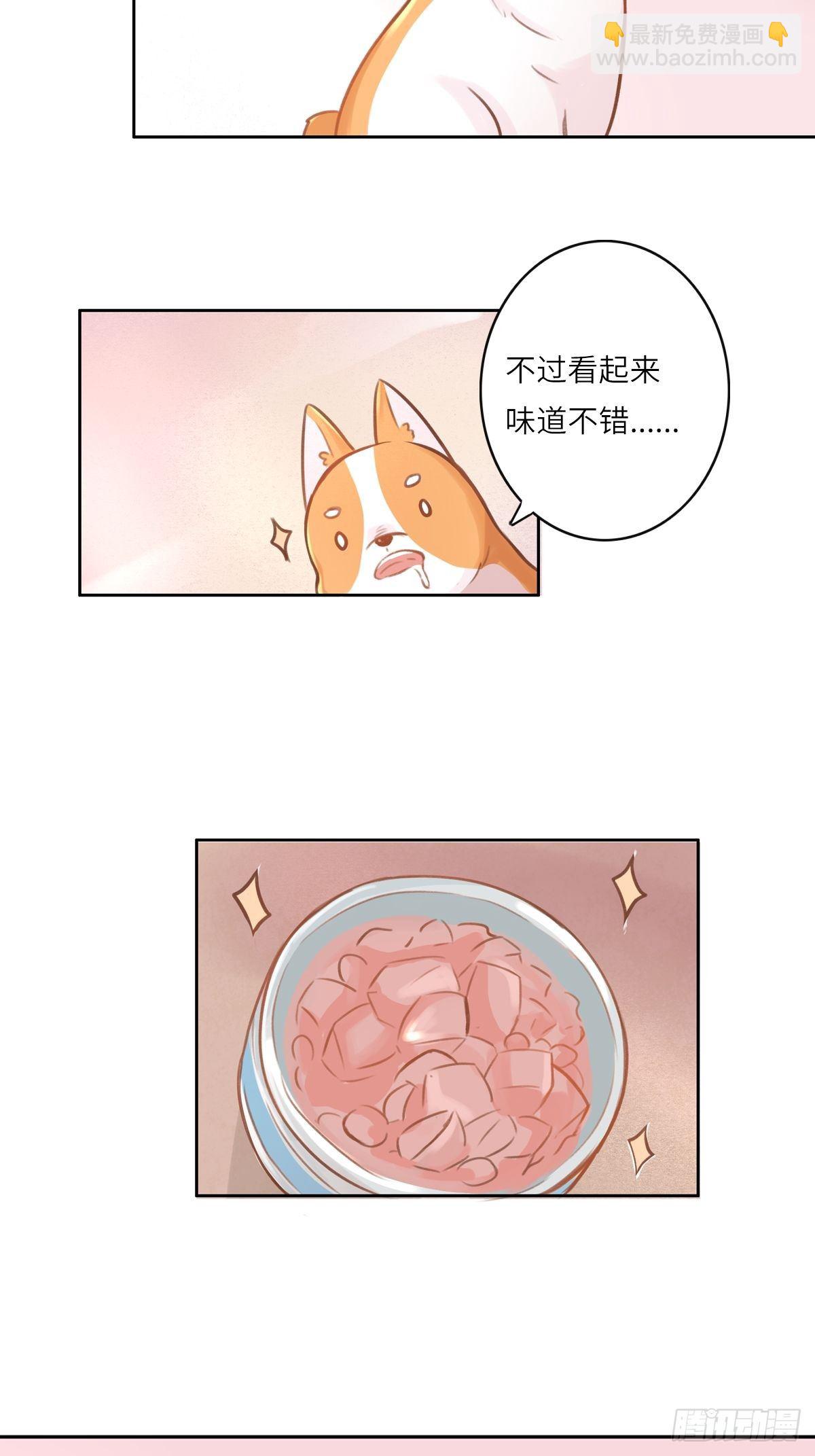 我的英雄（一）-第63话