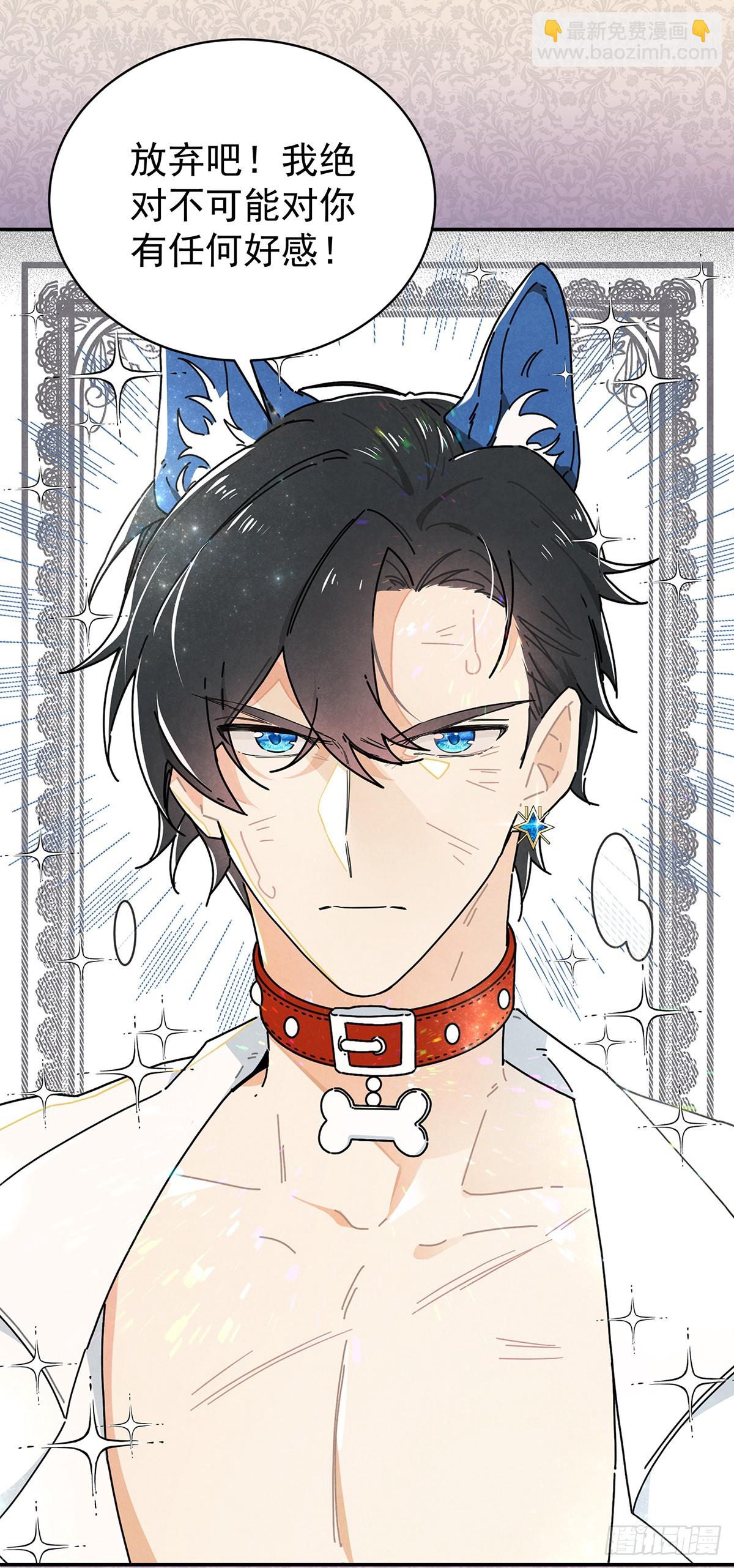 《奇迹冷冷》预告-第1话