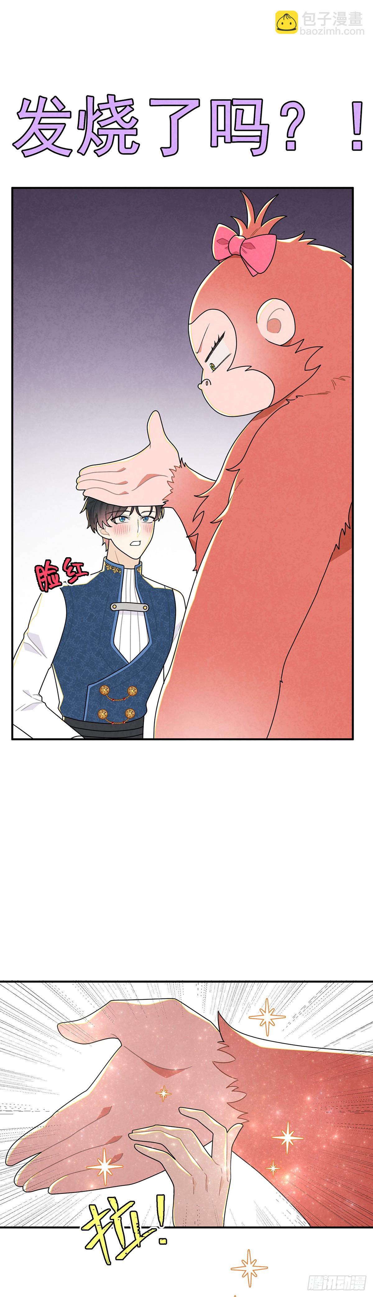 秃毛的狂怒！-第65话