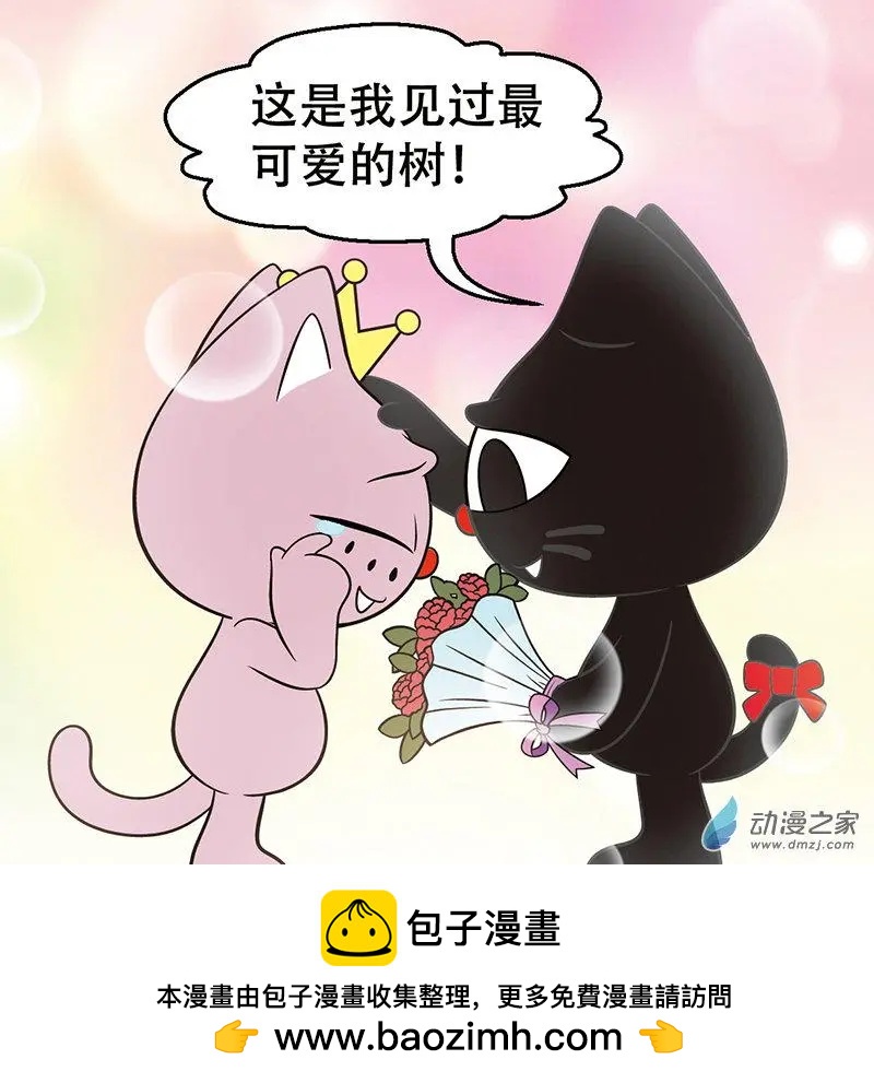 第17回 偶遇星探-第17话