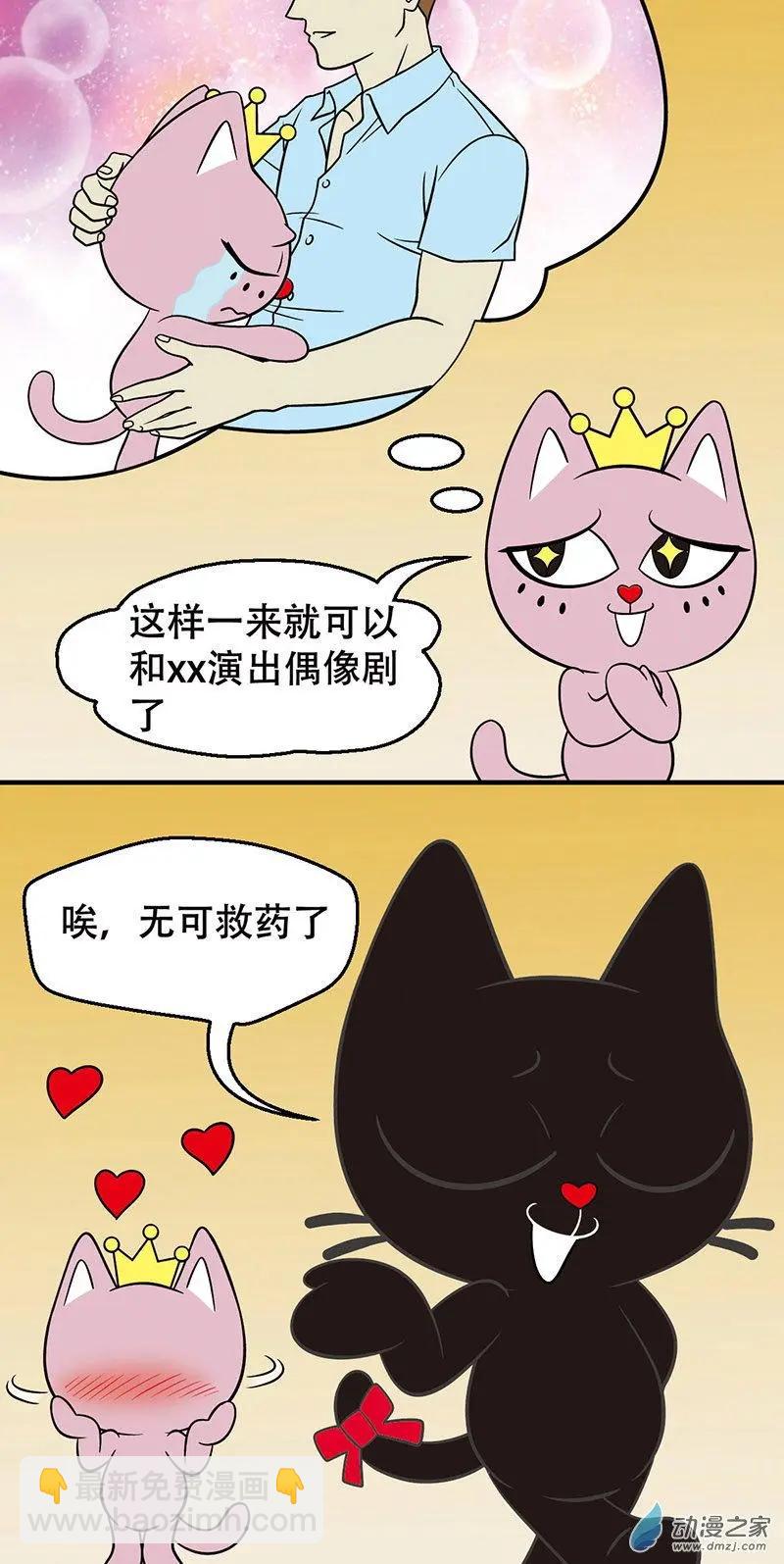 第17回 偶遇星探-第17话