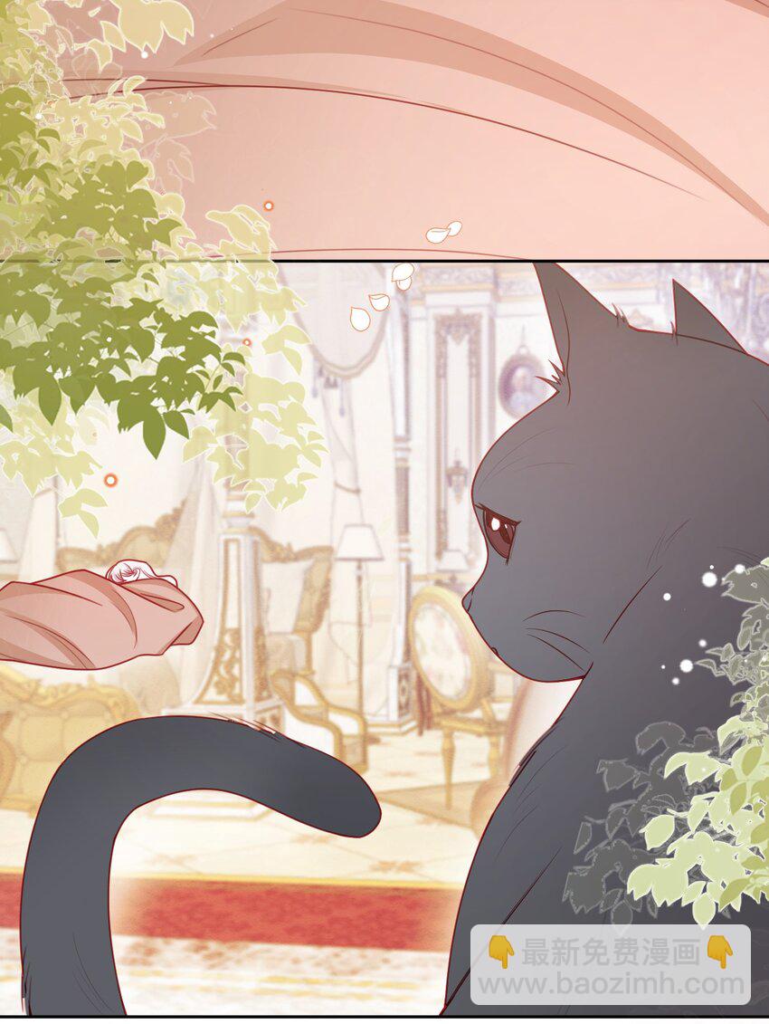 第50话 他的消息-第51话