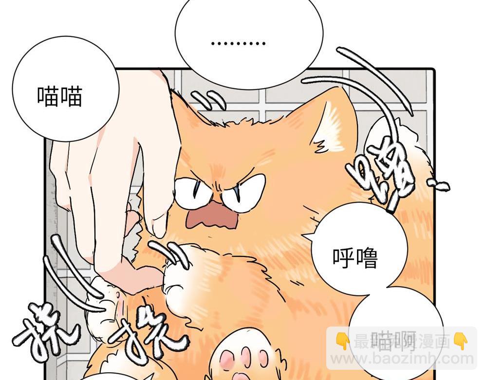 第三十六话 上司的职责(1/2)-第37话