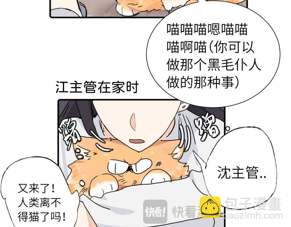 第三十八话 勉强(1/2)-第39话