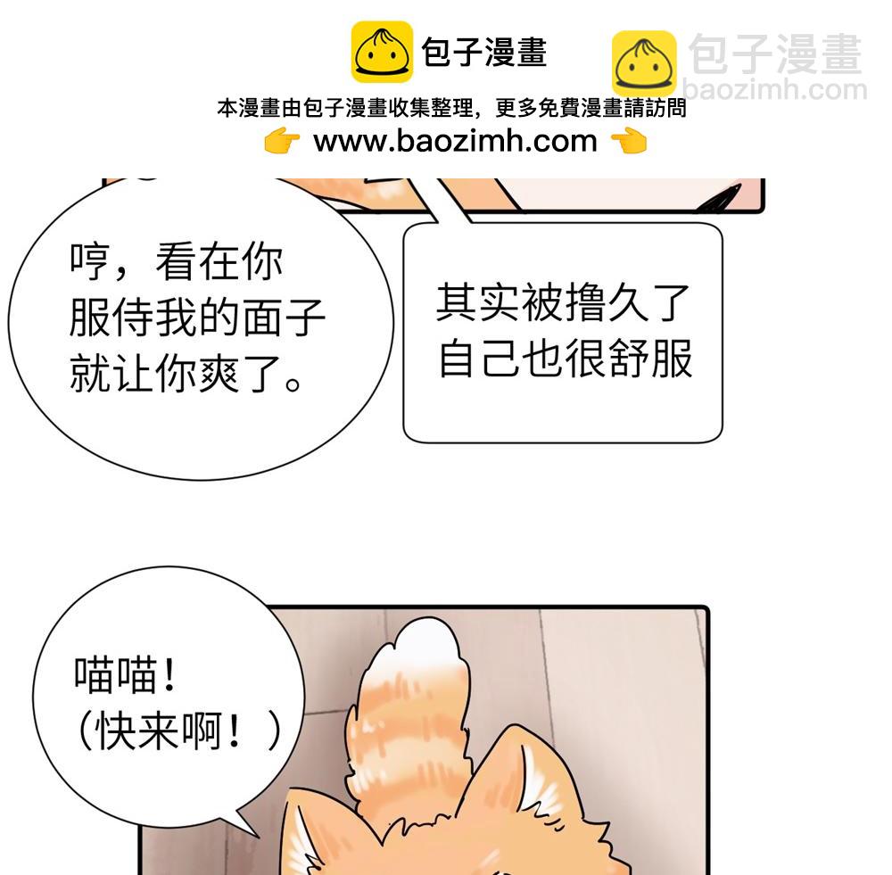 第三十八话 勉强(1/2)-第39话