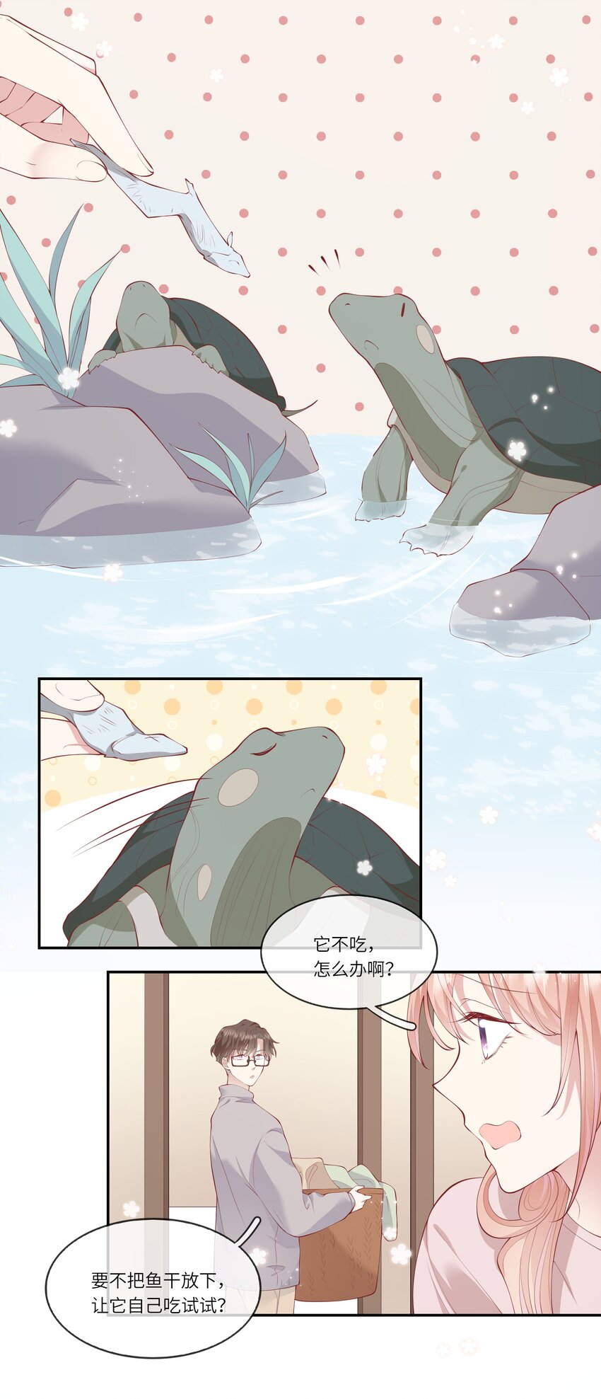 050 宁愿想要小乌龟-第53话