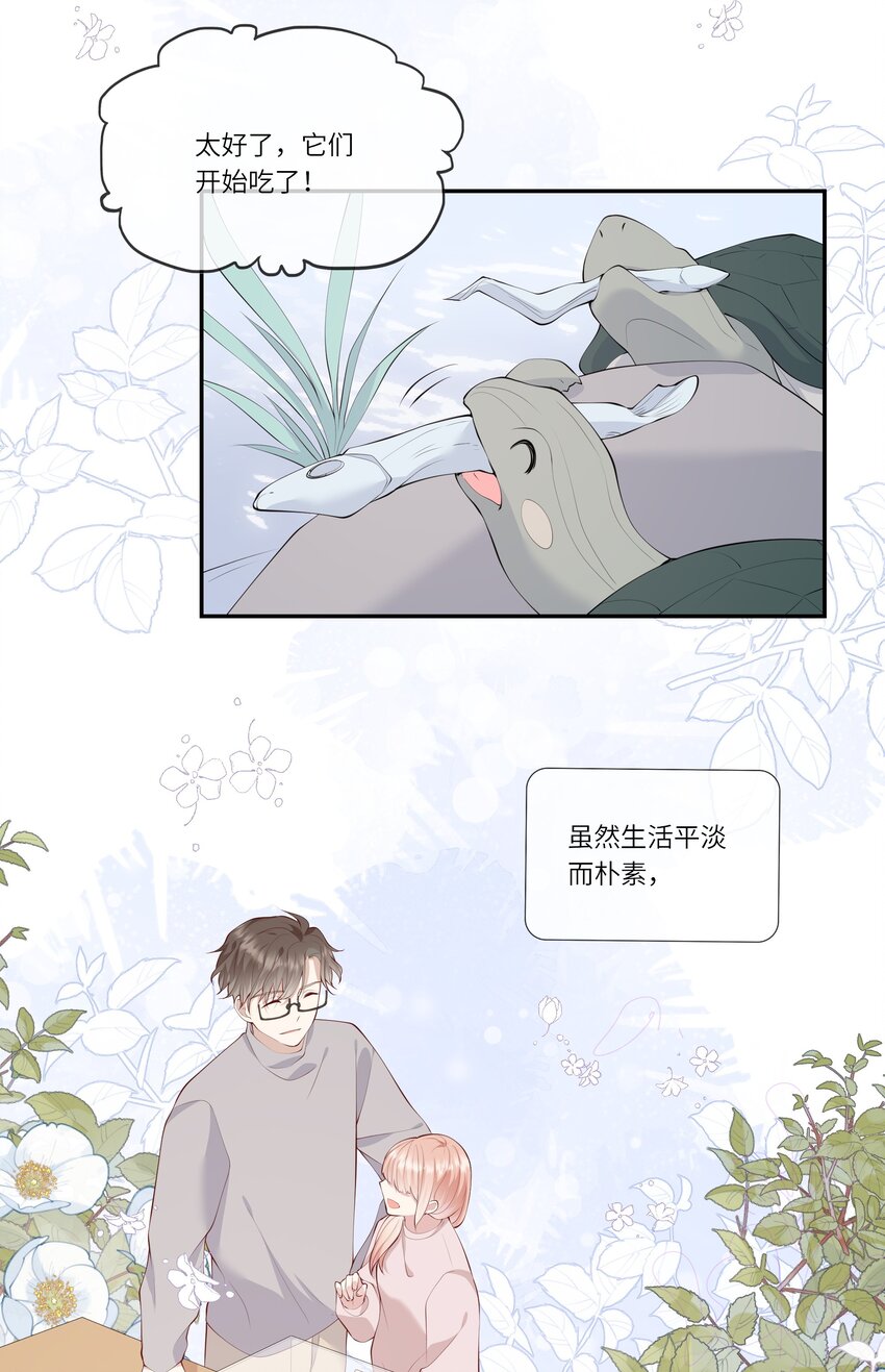 050 宁愿想要小乌龟-第53话