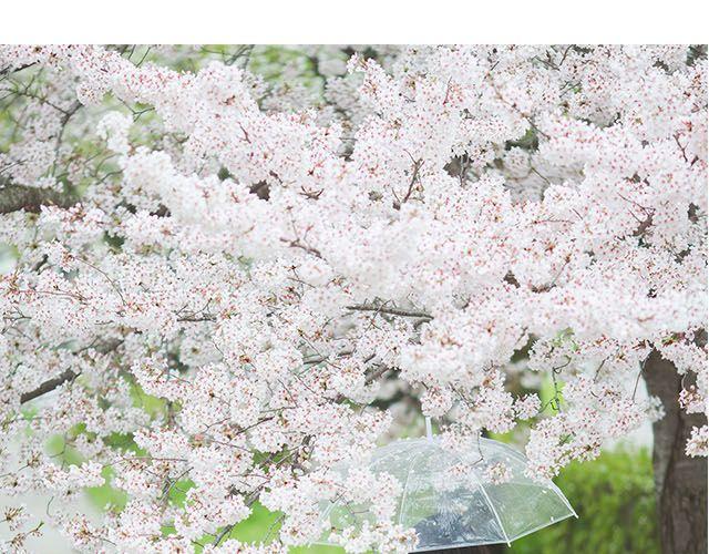 第9期 脚步之下是青春 | @林初寒(1/2)-第9话