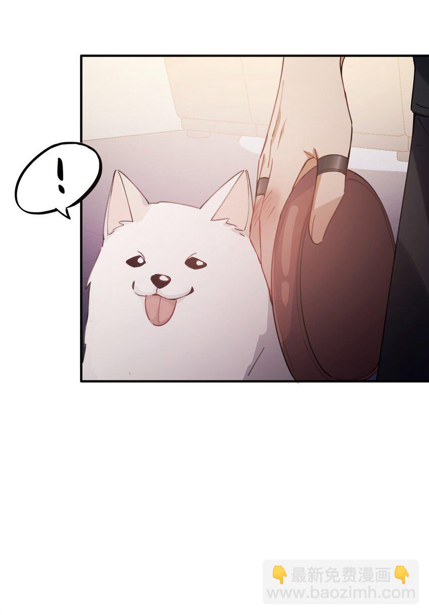 Track017 掌心那一丁点柔软和火热-第19话