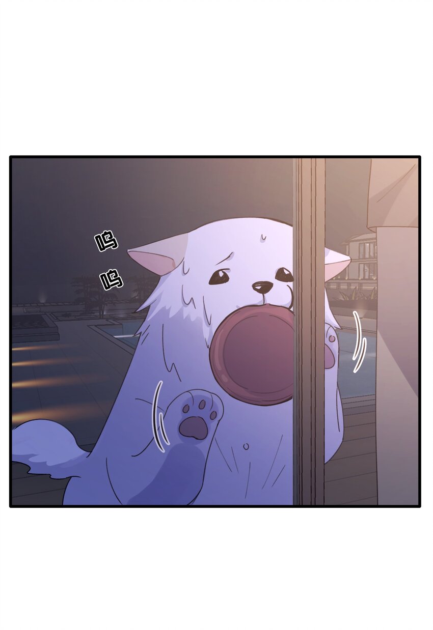 Track017 掌心那一丁点柔软和火热-第19话