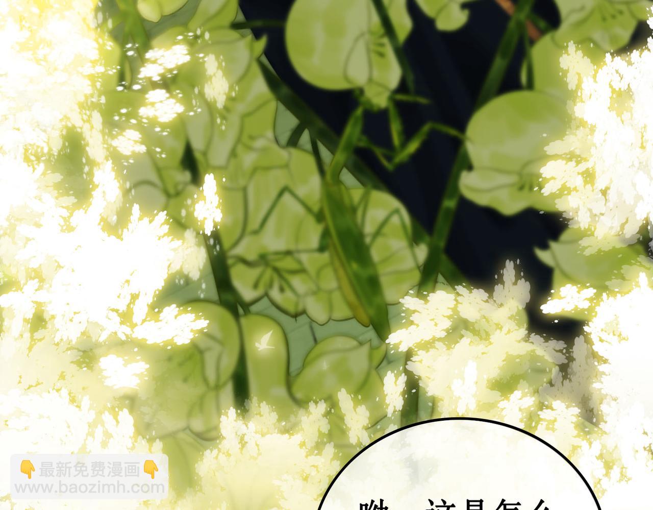 第三十一话 乞巧到来(1/3)-第33话