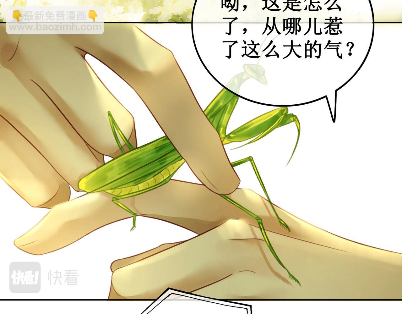 第三十一话 乞巧到来(1/3)-第33话