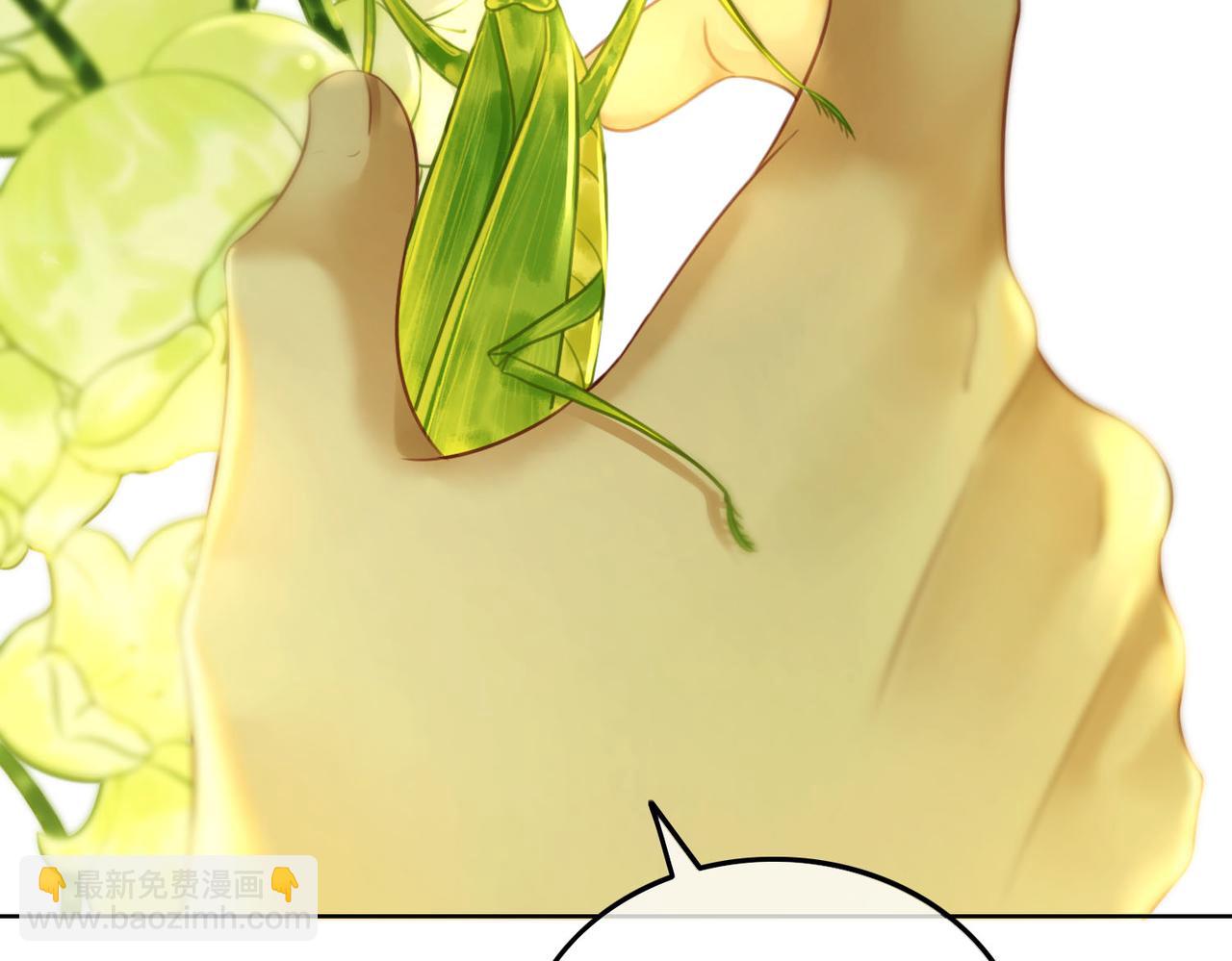 第三十一话 乞巧到来(1/3)-第33话