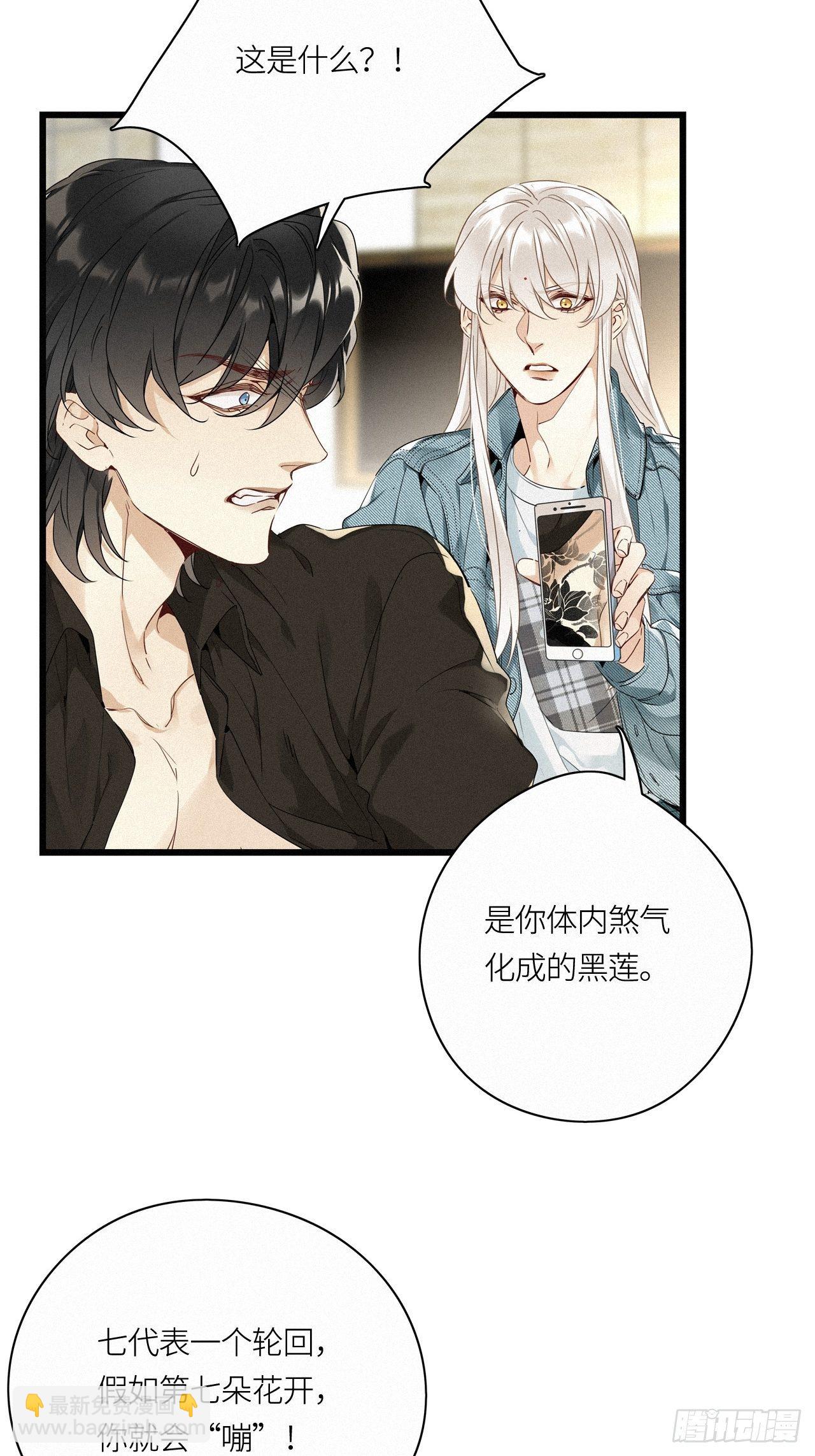 第15卦：土观音 12-第17话