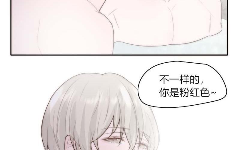 第41话(1/2)-第41话