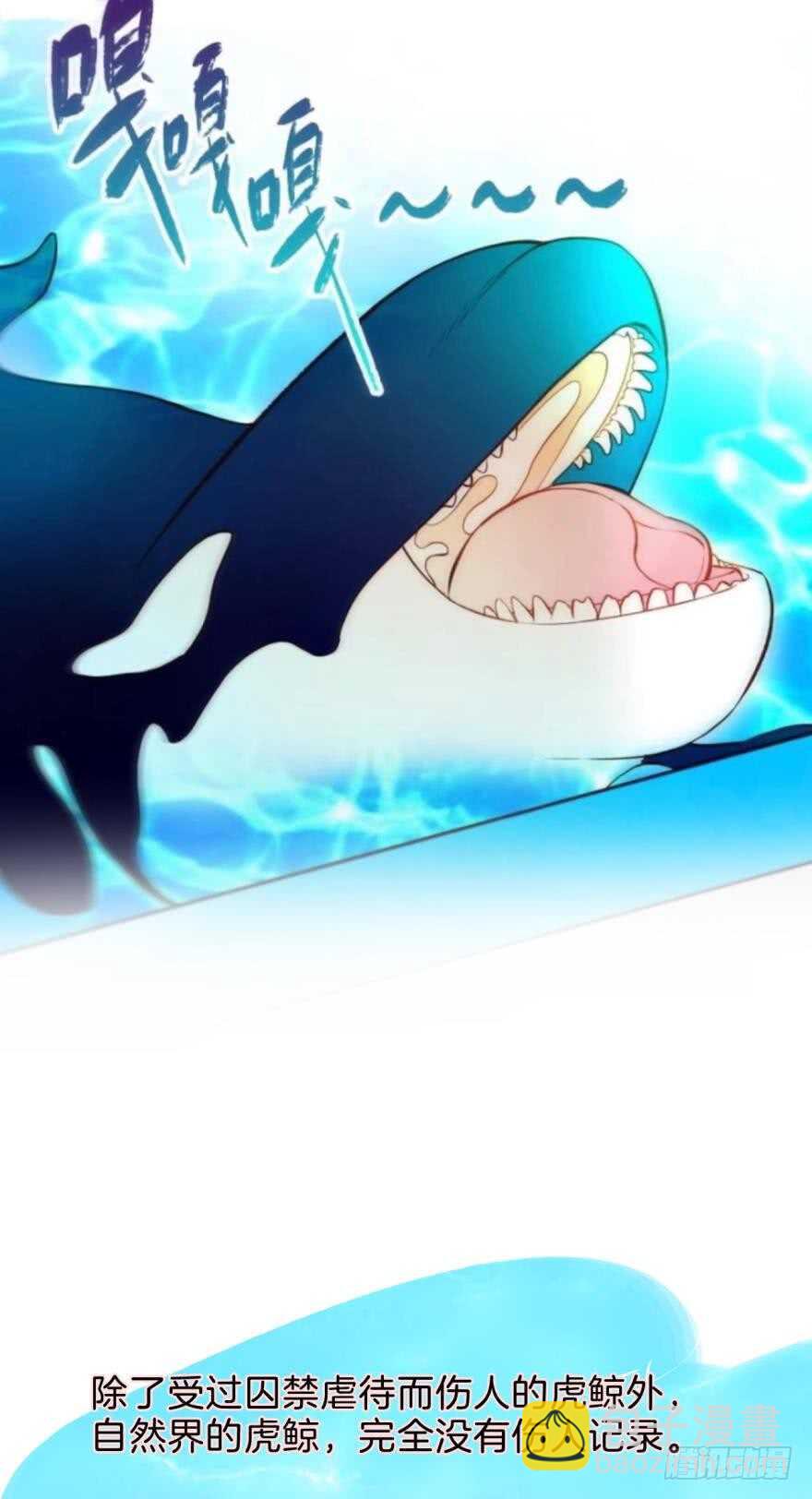 158话：虎鲸，杀手鲸(1/2)-第161话
