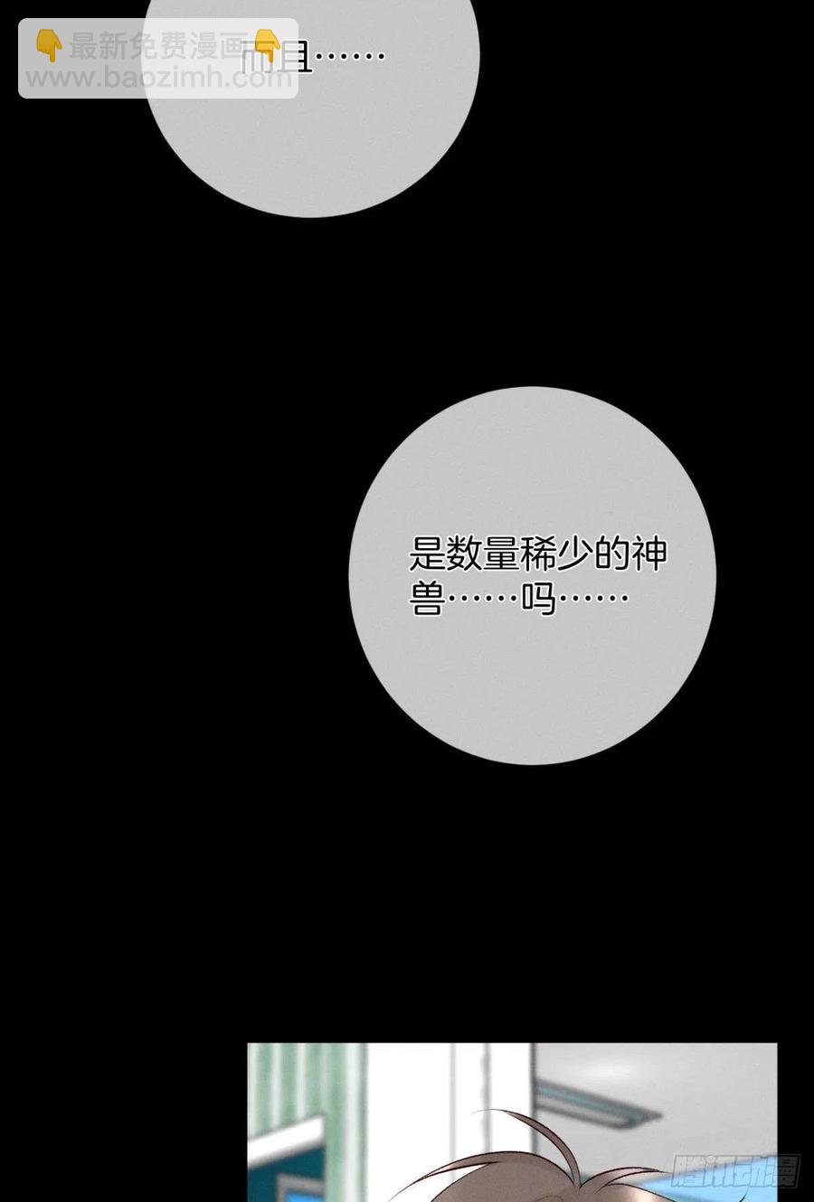 205话：神级兽人-第215话