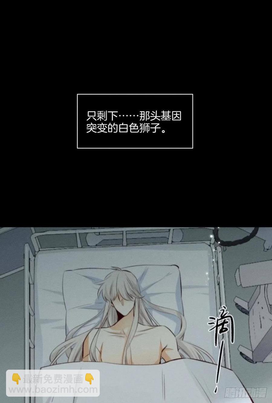 207话：破碎梦境-第217话