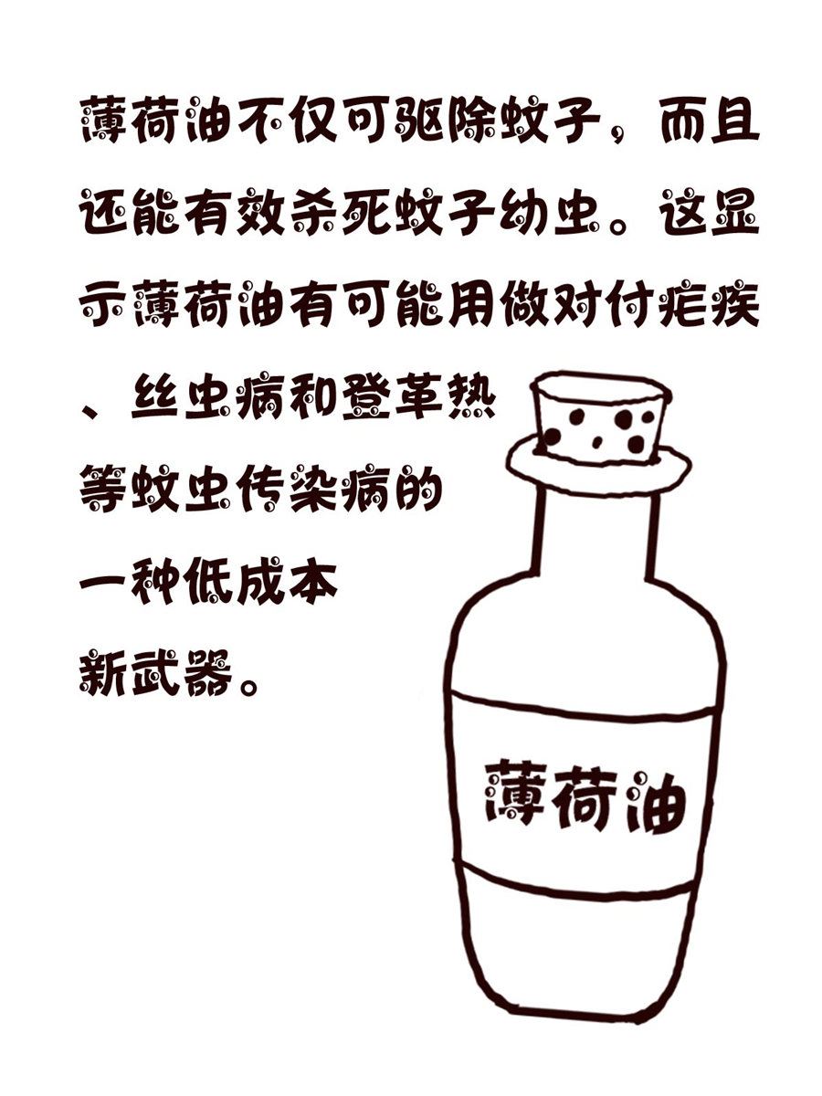 轻松一刻 第15集-第15话