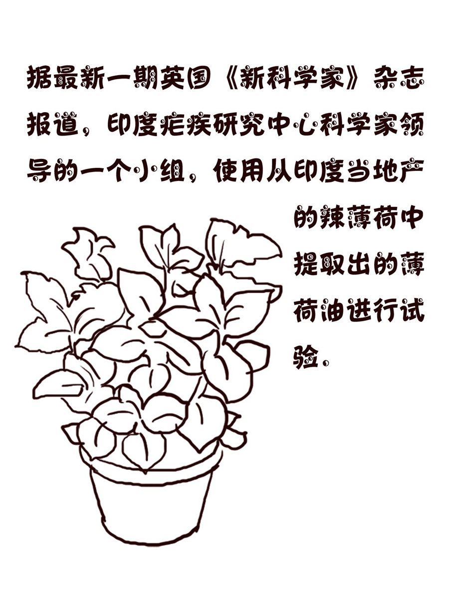 轻松一刻 第15集-第15话