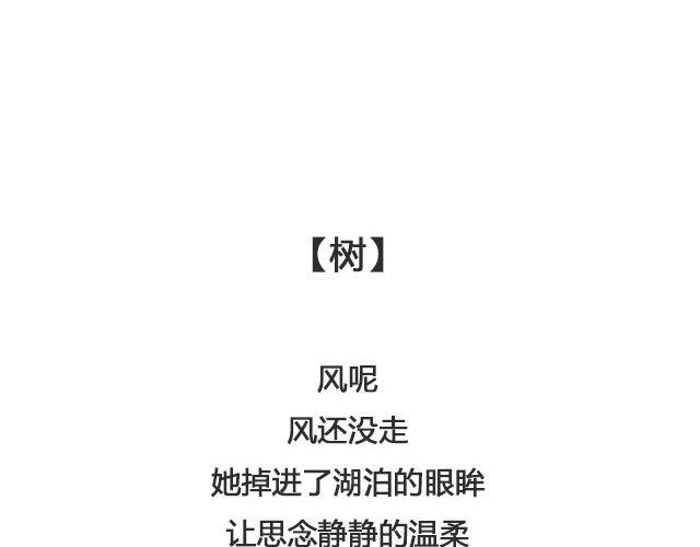 树与蜻蜓，猫与风铃 | @等故事长大_-第127话