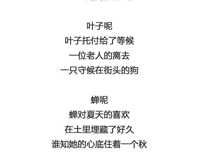 树与蜻蜓，猫与风铃 | @等故事长大_-第127话