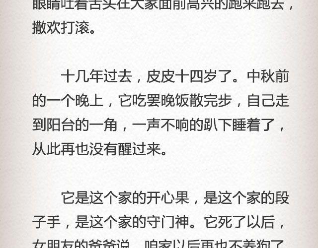 皮皮 | @韦哥-第79话